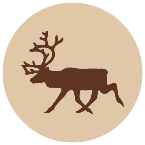 Poro jauhettu, luuton 500g (E)