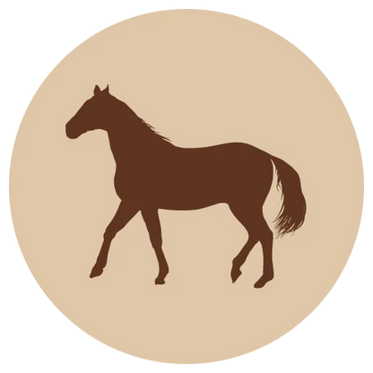 Hevonen pulla, luuton 700g (E)