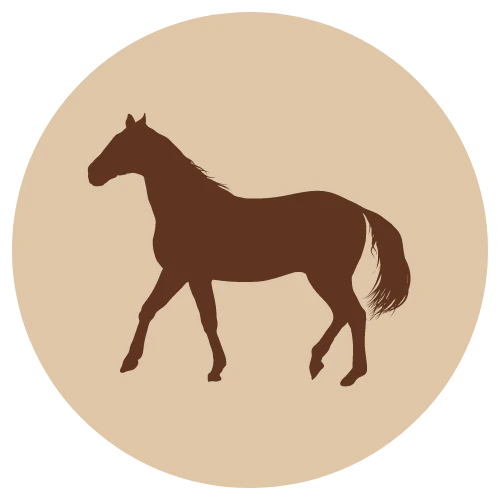 Hevonen palaliha 500g (F)