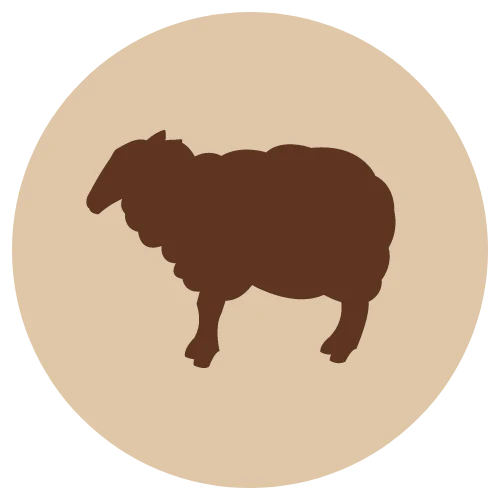 Lammas jauhettu, luuton 500g (E)