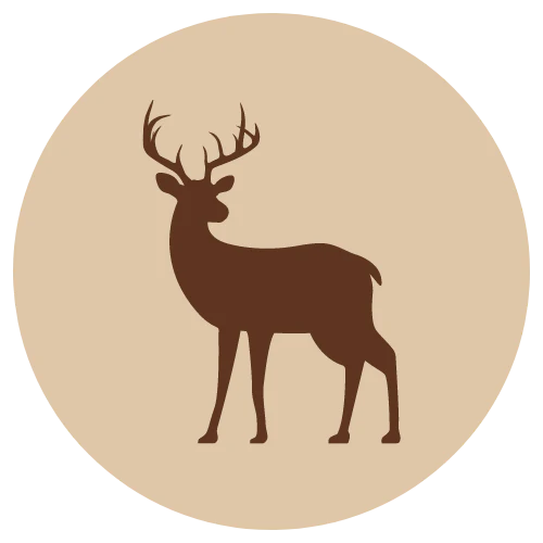 Riista jauhettu, luuton 500g (E)