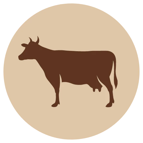 Fanimal naudan rasvarouhe 1kg (F)