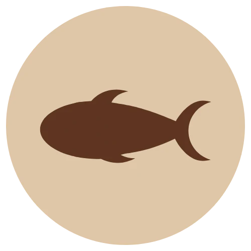 Fanimal Jauhettu lohi 200g (E)